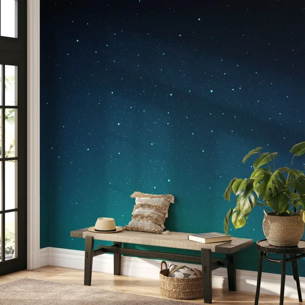 Sky_full_of_stars_at_night_seen_Mural_Wallpaper.