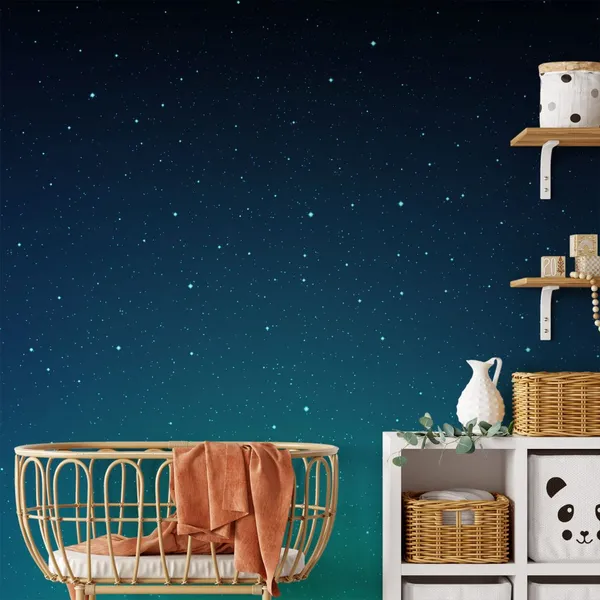 Sky_full_of_stars_at_night_seen_Mural_Wallpaper.