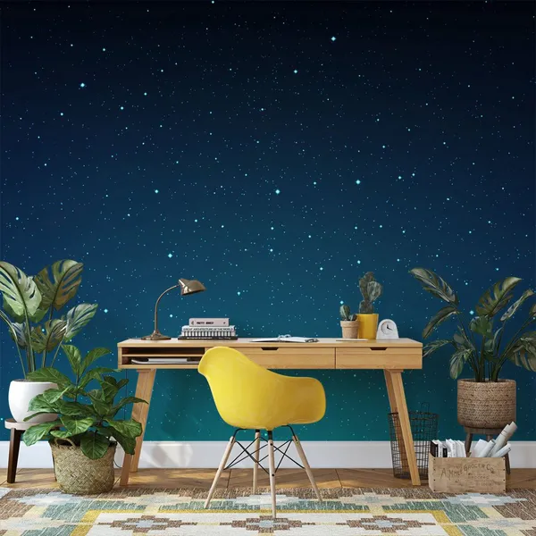 Sky_full_of_stars_at_night_seen_Mural_Wallpaper.