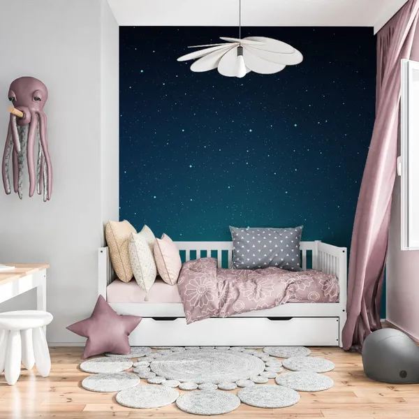 Sky_full_of_stars_at_night_seen_Mural_Wallpaper.