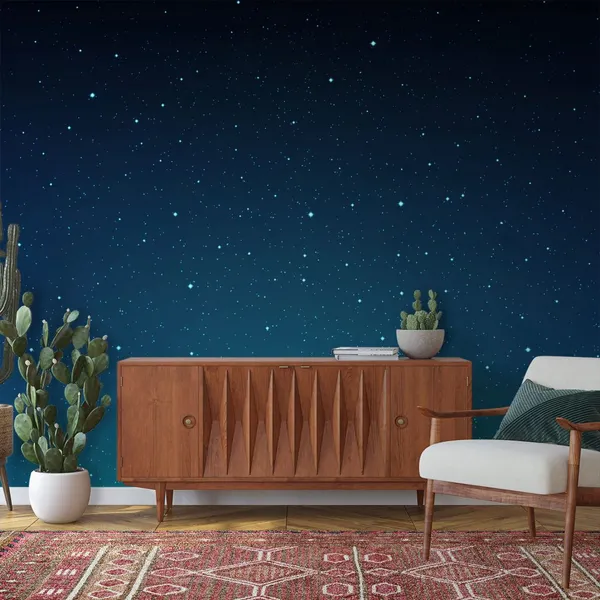Sky_full_of_stars_at_night_seen_Mural_Wallpaper.