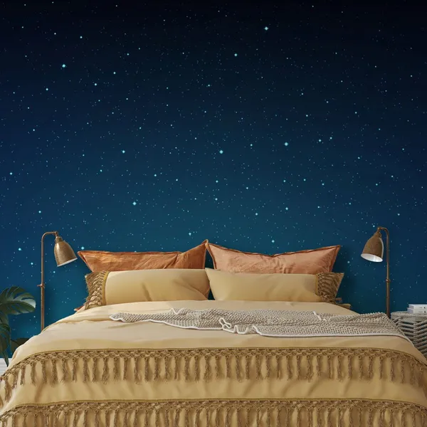 Sky_full_of_stars_at_night_seen_Mural_Wallpaper.