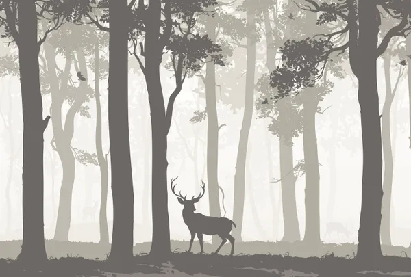 Background_with_deciduous_forest,_birds_and_deer._Vector_illustration_Mural_Wallpaper.