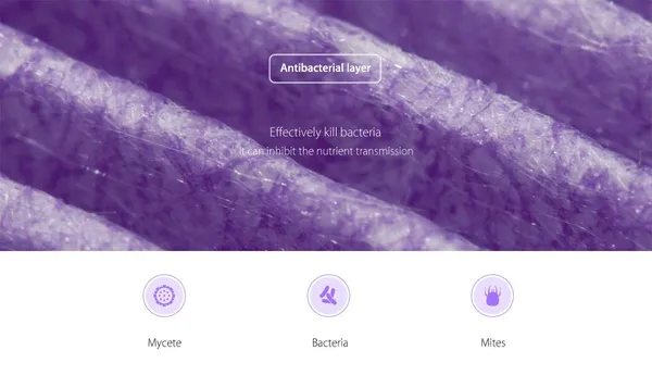 Xiaomi_Mi_Air_Purifier_2,_and_3_Antibacterial_Compatible_Filter_(HEPA_+_CARBON)_ILoveCleanAir_Branded_(Purple)