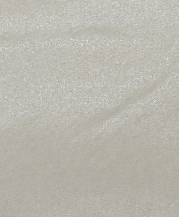 Grey_Organza_Saree_for_Women