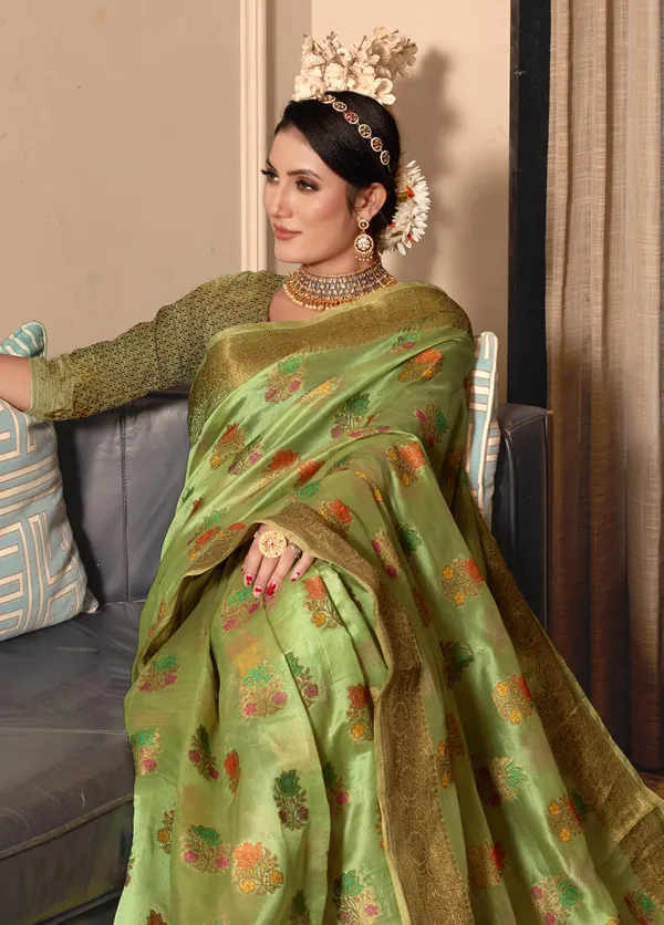 Light_Green_Organza_Saree_for_Women