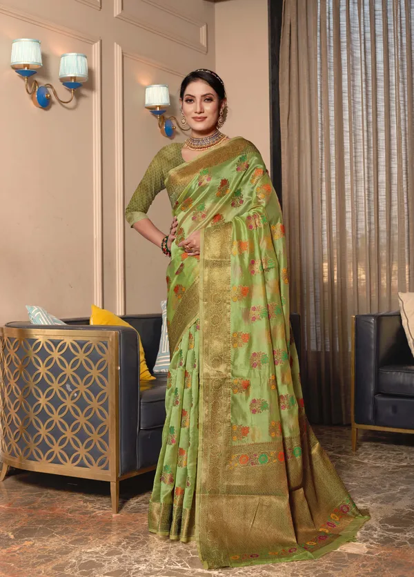 Light_Green_Organza_Saree_for_Women