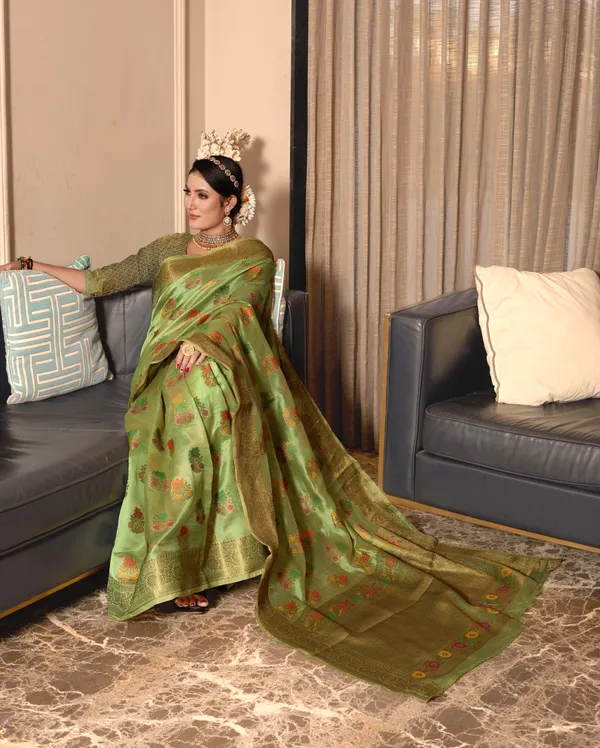 Light_Green_Organza_Saree_for_Women