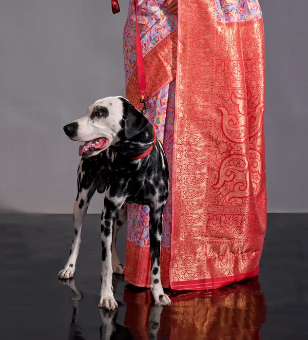 Kashmiri_Silk_Saree