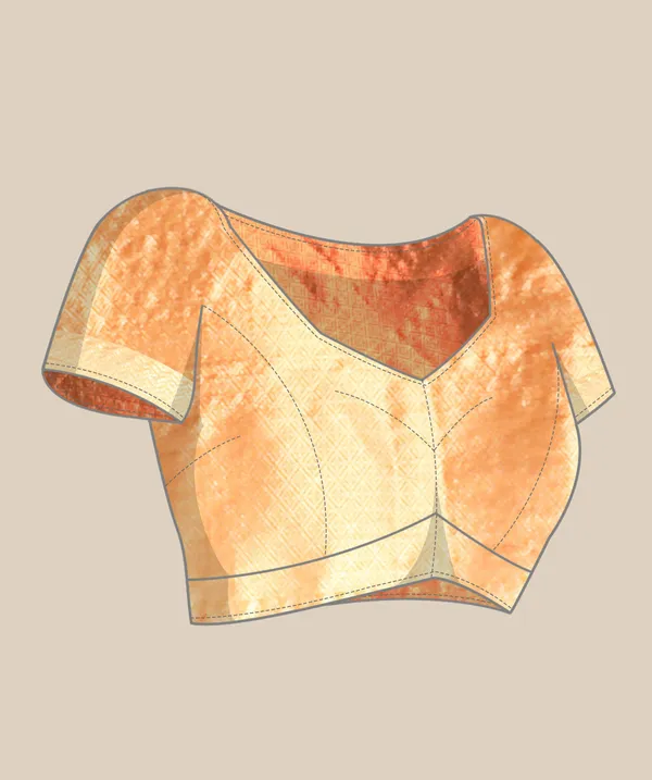 Orange_Organza_Saree_for_Women