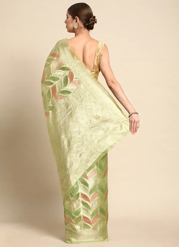 Light_Green_Organza_Saree_for_Women