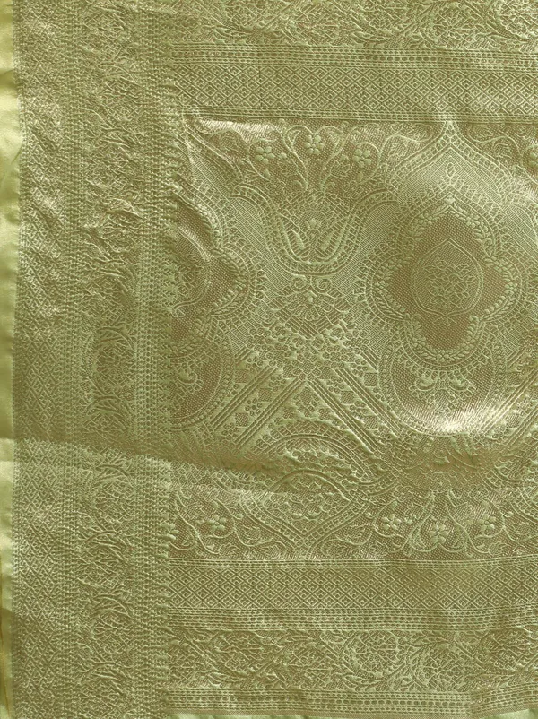 Light_Green_Organza_Saree_for_Women