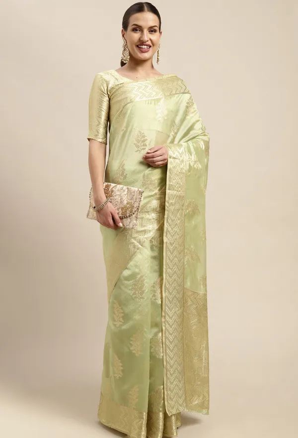 Light_Green_Organza_Saree_for_Women