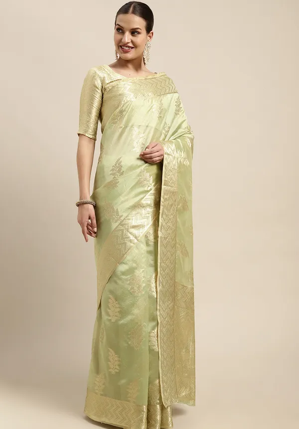 Light_Green_Organza_Saree_for_Women