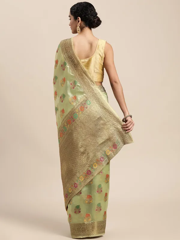 Light_Green_Organza_Saree_for_Women