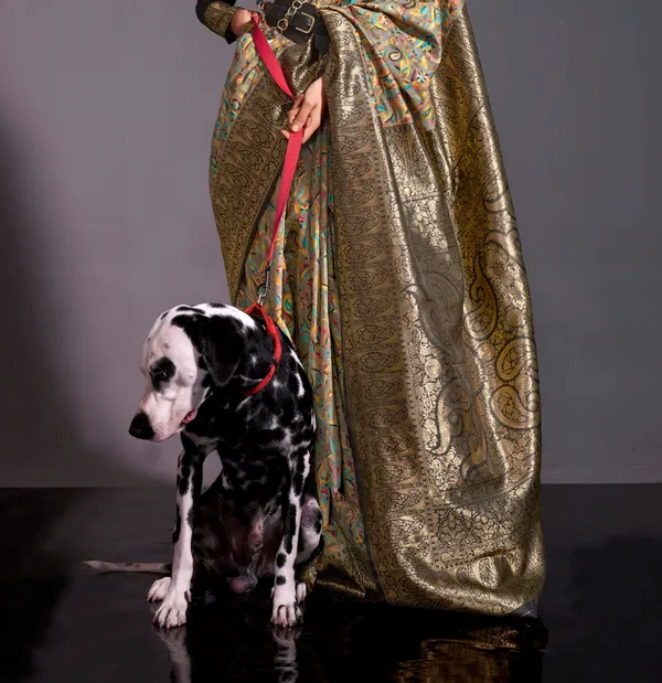 Kashmiri_Silk_Saree