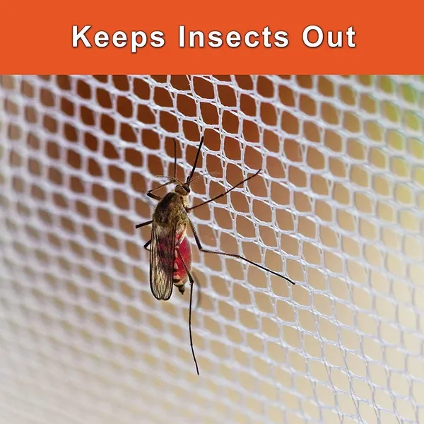 Blue_Transparent_Mosquito_Net_For_Adults