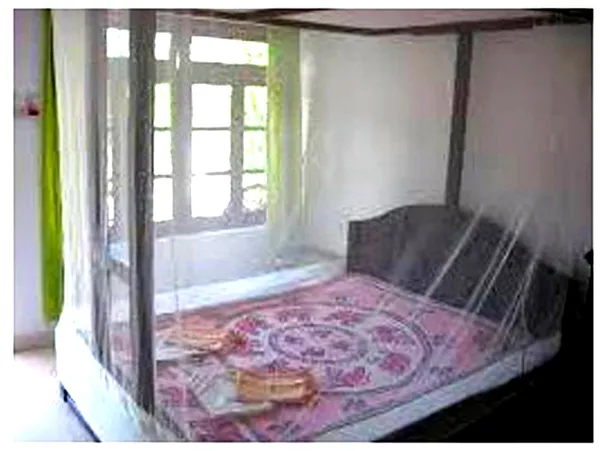 Multicolour_Transparent_Mosquito_Net_For_Adults