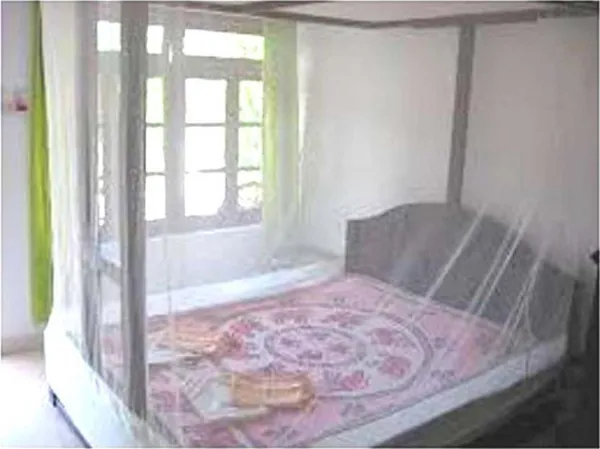Creation_Double_Bed_6X6.5_feet_Mosquito_Net_Ivory_Color