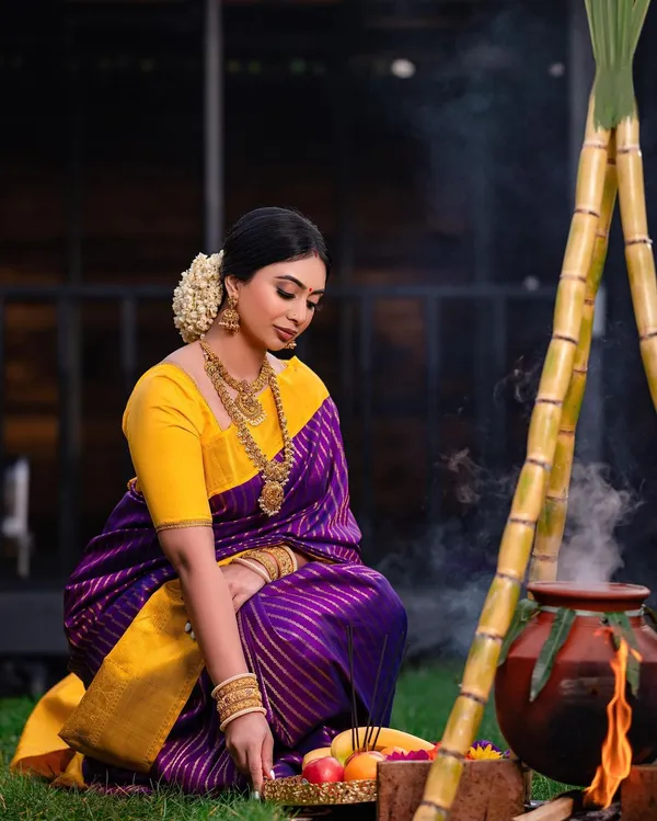 Kanjivaram_Silk_Saree_With_Demure_Blouse_Piece_|_Panoply_Purple