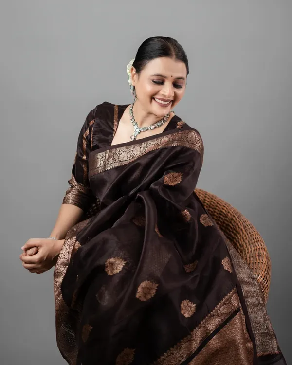 Black_Banarasi_Silk_Traditional_Wear_Saree