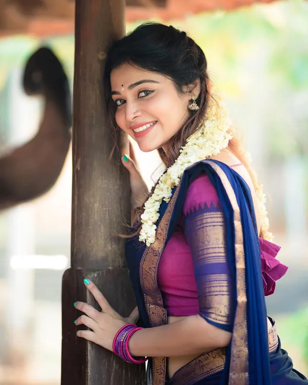 Pink_and_Blue_Jacquard_Kanjivaram_Silk_Hafe_Saree