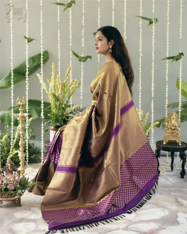 Wine_Banarasi_Silk_Traditional_Wear_Saree