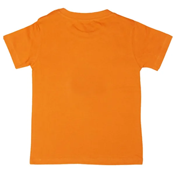 Multicolor_Cotton_Boys_Tshirt_From_Baby_Boy_Months_To_Years