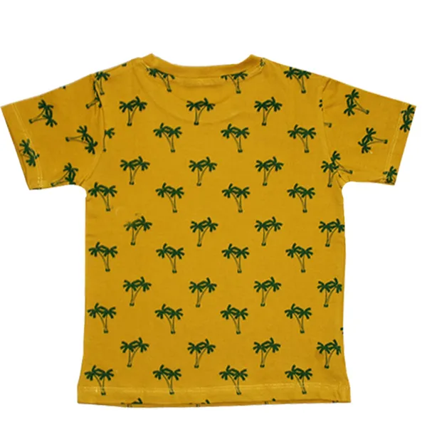 Multicolor_Boys_Cotton_Elegant_Print_And_Regular_Fit_Half_Sleeve_T-Shirt_-Pack_Of_5