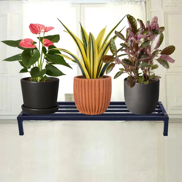 Premium_Plant_Stand,_Flower_Pot_Stand_for_Balcony,_Black,_2.5_ft_wide,_Pack_of_1