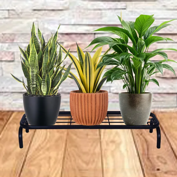 Metal_heavy_duty_plant_Pot_Stand,_Black,_26_Inch,_4_Pieces_-_Floor_Pot_Stand,_Metal_(DVPOT-03B-04)