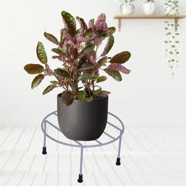 Grey_-_Set_of_4-Plant_Stand/Flower_Pot_for_indoor_or_outdoor