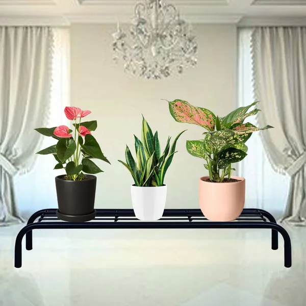 Floor_Planter_Stand/Pot_Stand/Plant_Stand_for_Home_or_Garden_D?cor_(Set_of_2_-_Black)_DVPOT-38B-02