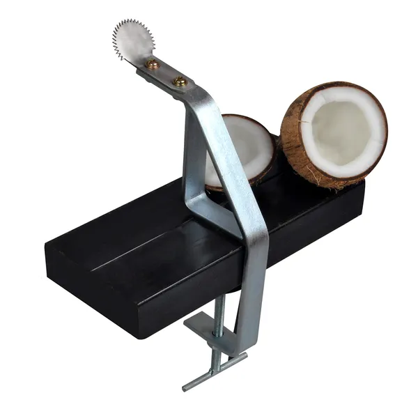 Steel_Coconut_Scraper/grater,_Silver_(DVCS-02Z)