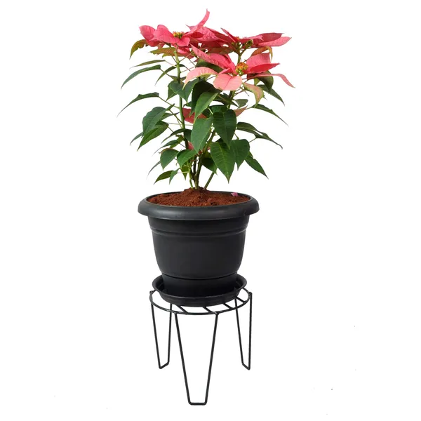 flower_Pot_Stand,_Black,_Large,_1_Piece_(DVPOT-06B-L)