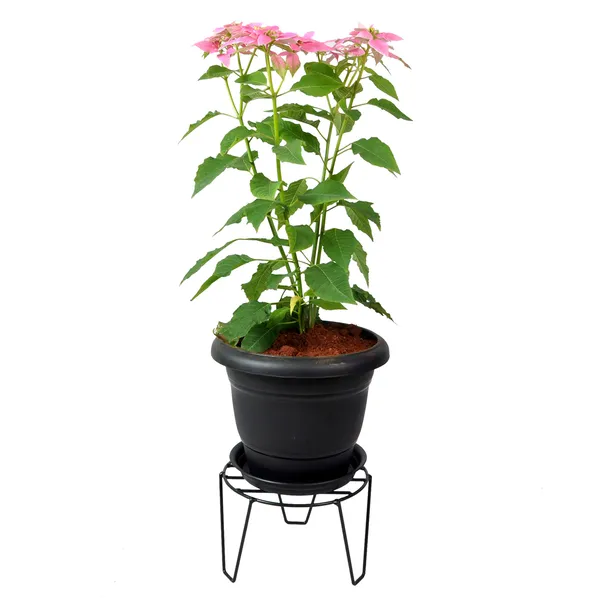 Plant_Pot_Stand_(Black,_Medium),_Pack_Of_1_(DVPOT-06B-M)