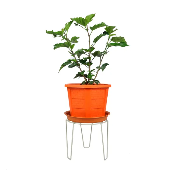 planter_stands,_Pot_Display_Stand,_Grey,(DVPOT-06W-L)