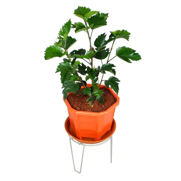 planter_stands,_Pot_Display_Stand,_Grey,(DVPOT-06W-L)