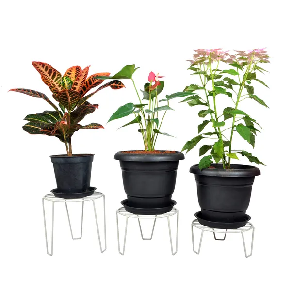 Planter_Stand/Flower_Pot_Stand/Plant_stand_(22_cm_Dia_-_Set_of_3)_DVPOT-06W-SML