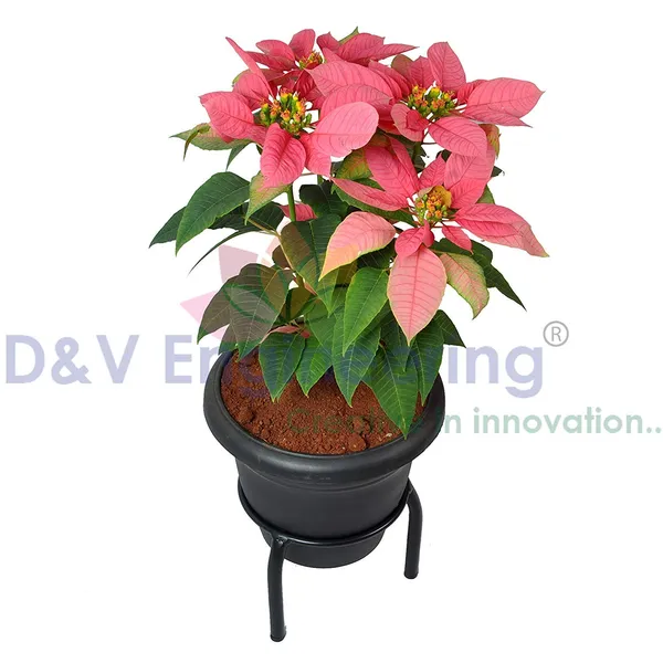 Single_Ring_Pot_Stand/Plant_Stand/Matka_Holder_for_Home/Garden/Balcony_Decor_(19_cm_Ring_Dia,15_cm_Height_-_1_Piece)_DVPOT-07B-01