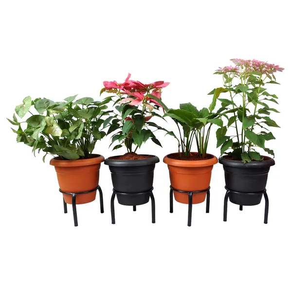 Single_Ring_Pot_stand/Plant_stand/Matka_Holder_for_Home/garden/Balcony_Decor_(19_cm_Ring_Dia,15_cm_Height_-_Set_of_4)_DVPOT-07B-04