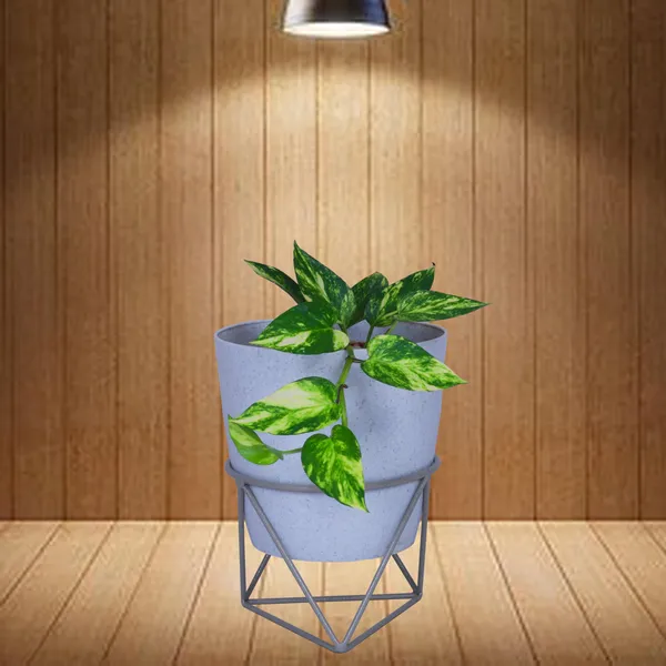 Plant_stand_Flower_pot_stand_(Grey-1piece)