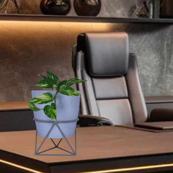 Plant_stand_Flower_pot_stand_(Grey-1piece)