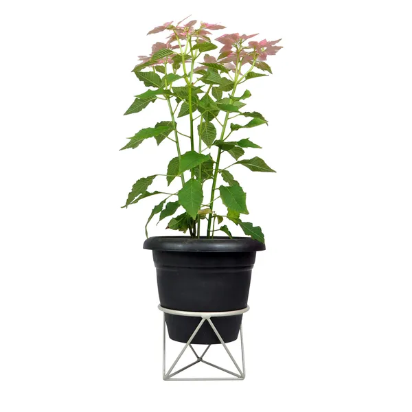 Plant_stand_Flower_pot_stand_(Grey-1piece)