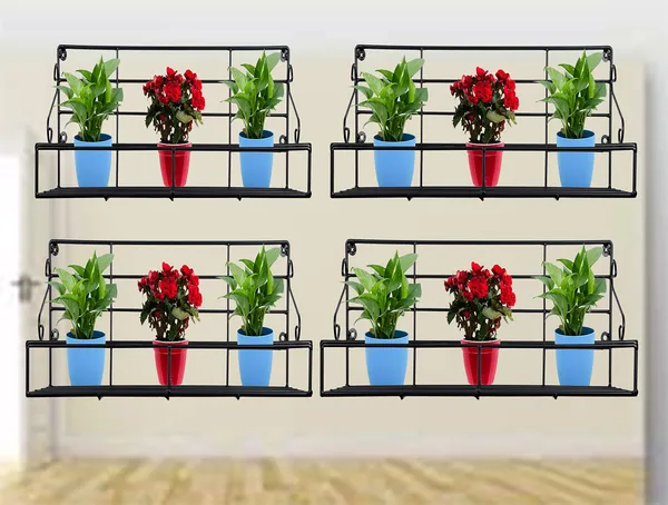 Wall_Fixing_Wall_mounting_Wall_Hanging_Plant_Planter_Pot_Stand_Bracket_for_Balcony_(51_cm_Wide_-_Set_of_4)_DVPOT-09B-04