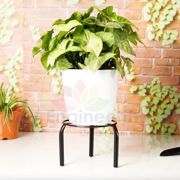 Round_Stand_Indoor/Outdoor_Flower_Pot/Plant_Stand_for_Home_Garden_or_Balcony_decor_(Type-B,_Set_of_12)DVPOT-14B-12