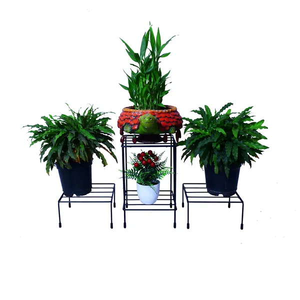 Plant_Stands,_Corner_Plant_Stand_Pot_Stand,_Planter_Stand_With_Rubber_Bushes_-_Black_(DVPOT-21B)