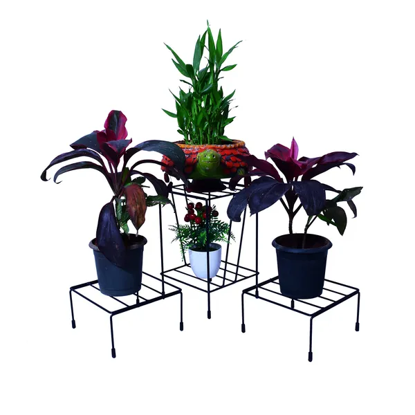 Plant_Stands,_Corner_Plant_Stand_Pot_Stand,_Planter_Stand_With_Rubber_Bushes_-_Black_(DVPOT-21B)