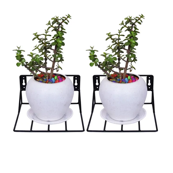 wall_fixing_wall_mounting_wall_hanging_plant_planter_pot_stand_bracket_for_Balcony_Black_(Pack_of-2)_-_Small_(DVPOT-22B-S)