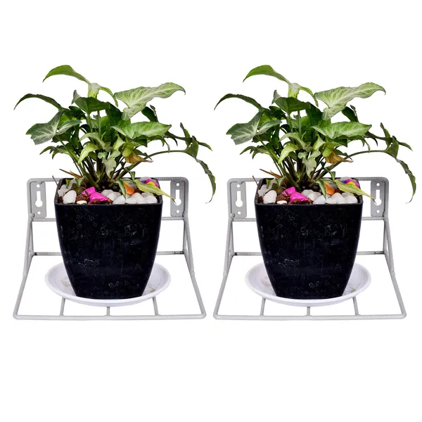 Grey_Wall_Fixing_Wall_mounting_Wall_Hanging_Plant_Planter_Pot_Stand_Bracket_for_Balcony__(Pack_of-2)-_Small_(DVPOT-22W-S)